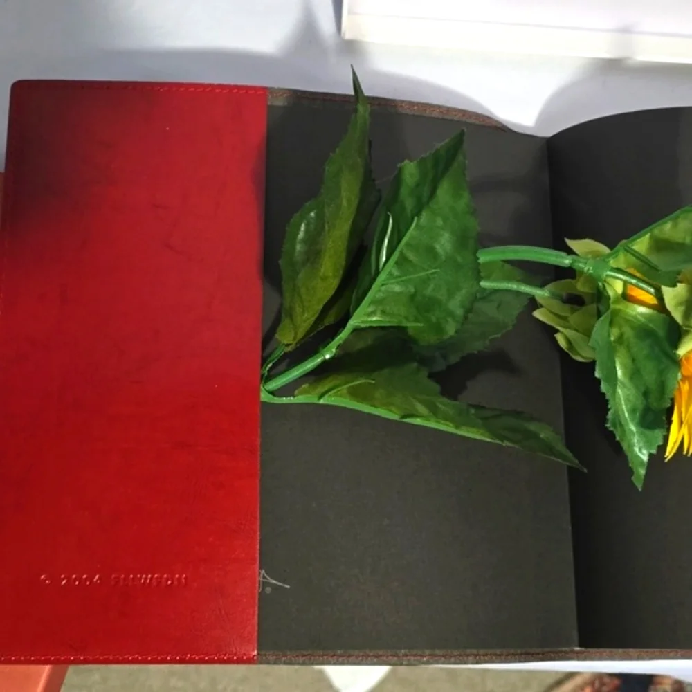 Pomegranate rare vintage